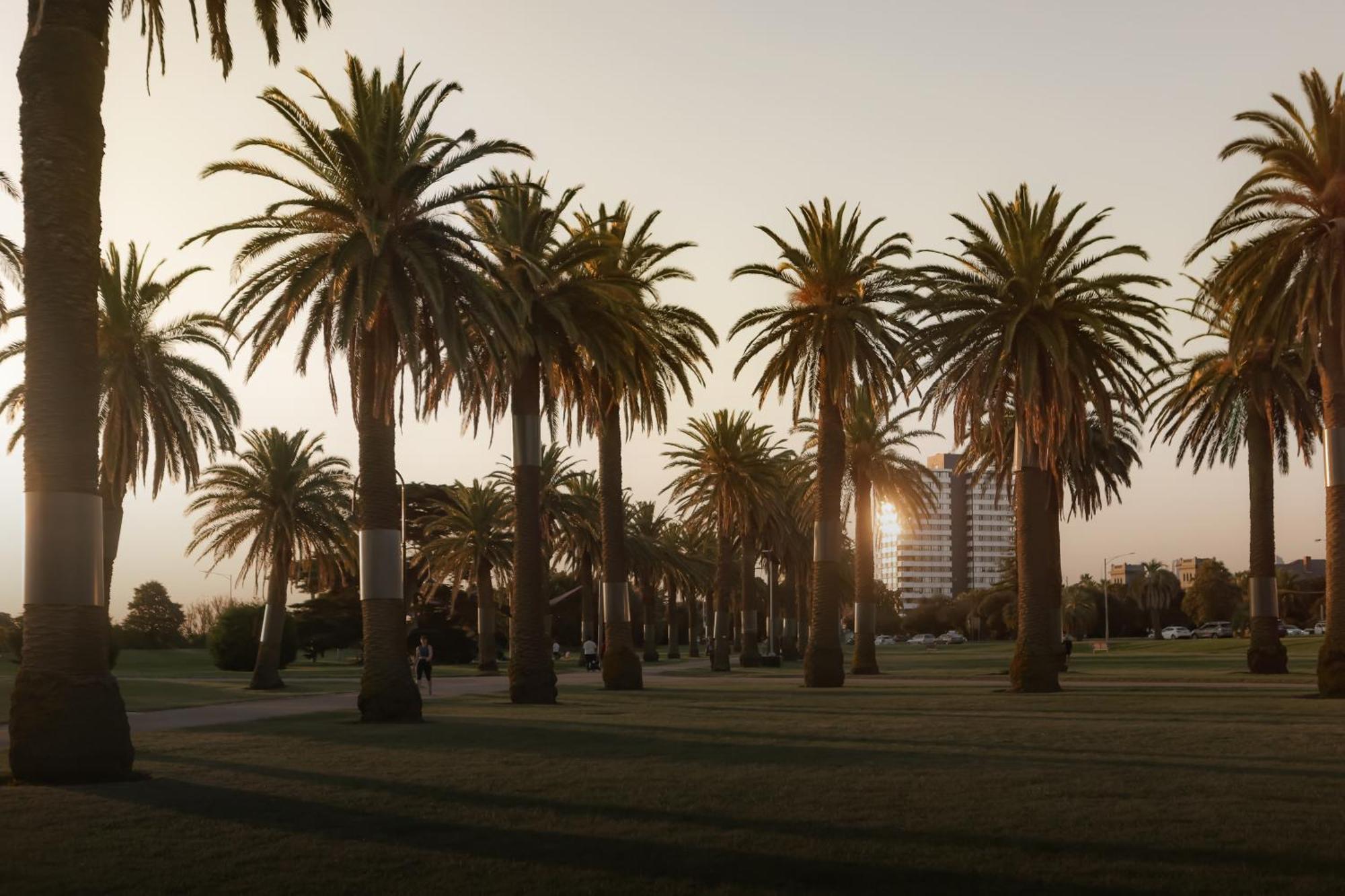 Mac St Kilda Blessington St By Melbourne Apartment Collection Экстерьер фото